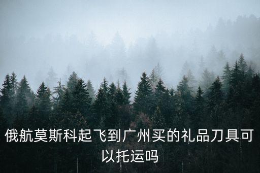 俄航莫斯科起飛到廣州買的禮品刀具可以托運(yùn)嗎