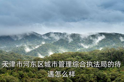 天津市河東區城市管理綜合執法局的待遇怎么樣