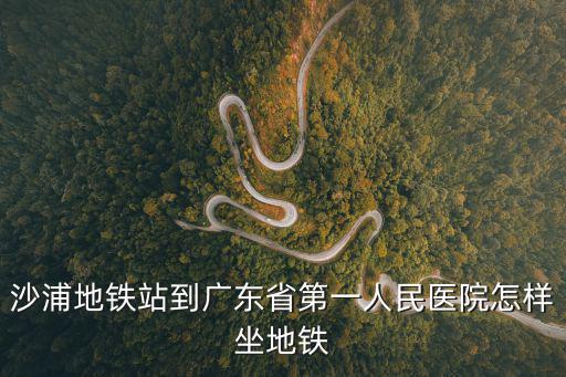 沙浦地鐵站到廣東省第一人民醫(yī)院怎樣坐地鐵