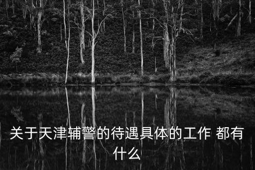 關于天津輔警的待遇具體的工作 都有什么