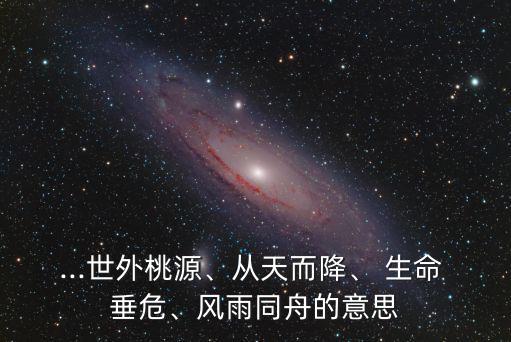 生命垂危的意思,人生如一根線揭示美國夢陰暗面