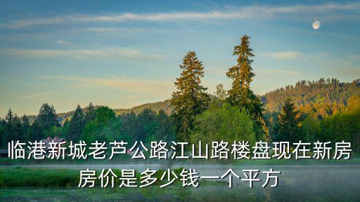 臨港新城老蘆公路江山路樓盤現(xiàn)在新房房價(jià)是多少錢一個(gè)平方
