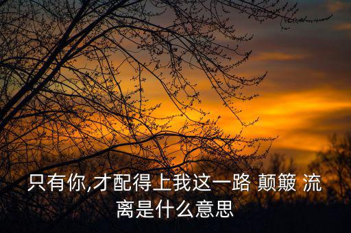 只有你,才配得上我這一路 顛簸 流離是什么意思