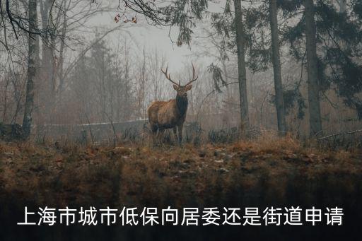 上海市城市低保向居委還是街道申請