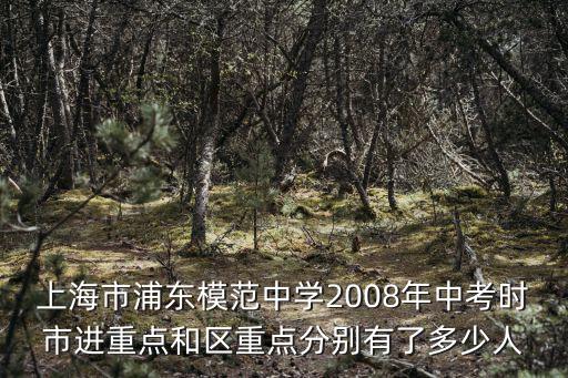 上海市浦東模范中學(xué)2008年中考時(shí)市進(jìn)重點(diǎn)和區(qū)重點(diǎn)分別有了多少人