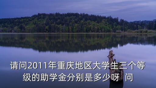 請問2011年重慶地區(qū)大學(xué)生三個(gè)等級的助學(xué)金分別是多少呀  問