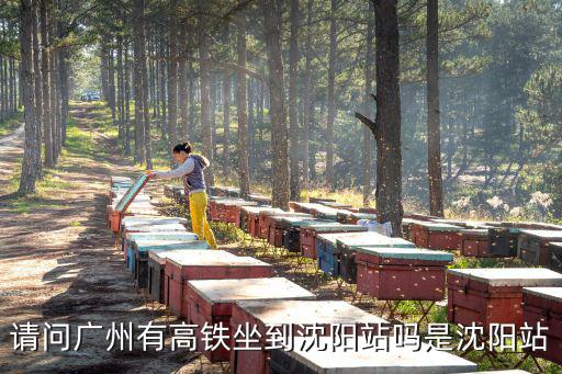 請問廣州有高鐵坐到沈陽站嗎是沈陽站