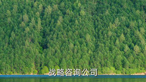 上海市批量招標，上海招標信息怎么快速發(fā)布