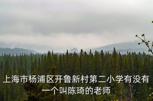 上海市開魯新村第二小學(xué) 無師德，上海市楊浦區(qū)開魯新村第二小學(xué)有沒有一個(gè)叫陳琦的老師