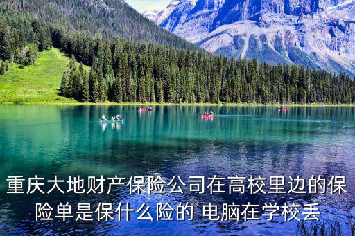 重慶大地財(cái)產(chǎn)保險(xiǎn)公司在高校里邊的保險(xiǎn)單是保什么險(xiǎn)的 電腦在學(xué)校丟