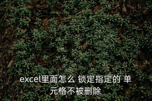 excel里面怎么 鎖定指定的 單元格不被刪除