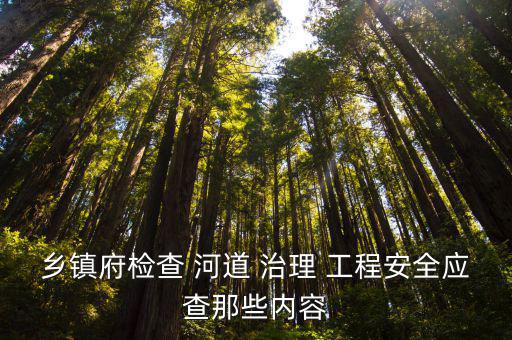 鄉鎮府檢查 河道 治理 工程安全應查那些內容