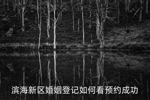 濱海新區婚姻登記如何看預約成功