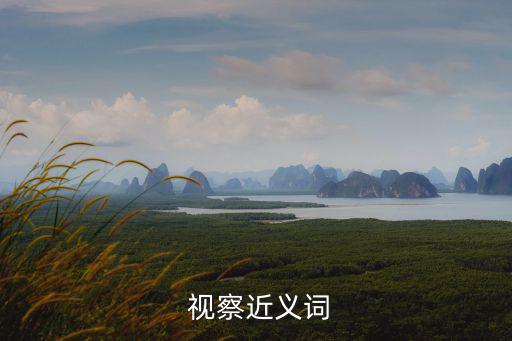  視察近義詞