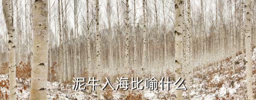 泥牛入海什么意思,泥牛入海"這個數有多少?猜一猜!