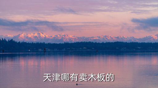 天津哪有賣木板的