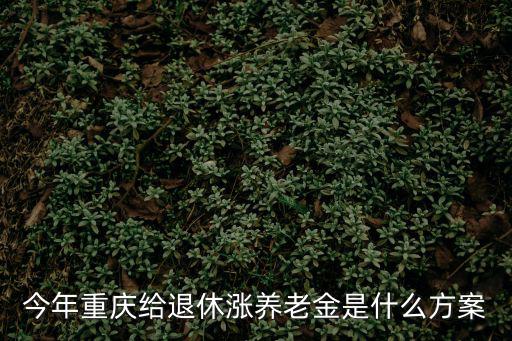今年重慶給退休漲養(yǎng)老金是什么方案