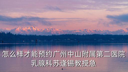 怎么樣才能預(yù)約廣州中山附屬第二醫(yī)院乳腺科蘇逢錫教授急