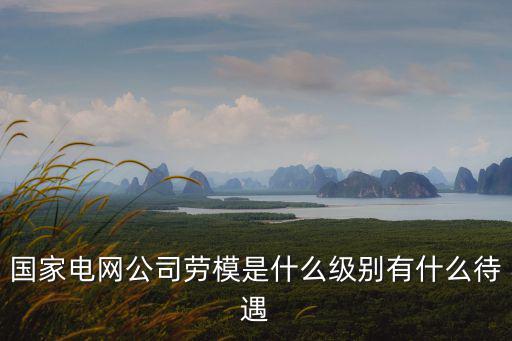 國家電網公司勞模是什么級別有什么待遇