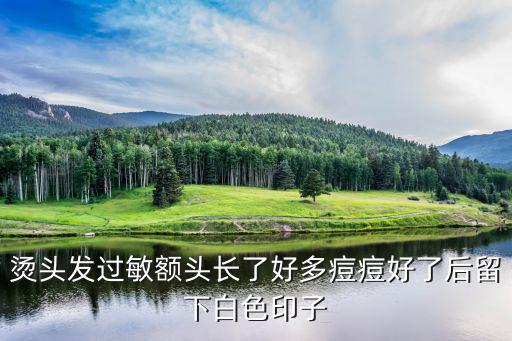 燙頭發(fā)過敏額頭長了好多痘痘好了后留下白色印子