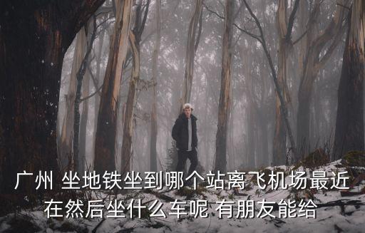 廣州 坐地鐵坐到哪個站離飛機場最近在然后坐什么車呢 有朋友能給