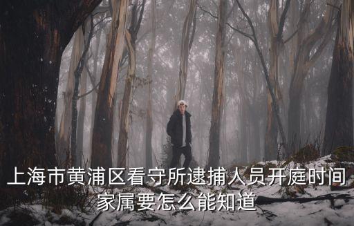上海市黃浦區(qū)看守所逮捕人員開庭時(shí)間家屬要怎么能知道