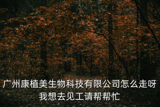 廣州美康生物科技股份有限公司，深圳美康國際生物科技有限公司的核心優勢是什么