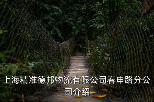 上海精準德邦物流有限公司春申路分公司介紹