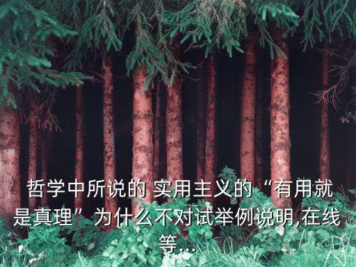  哲學(xué)中所說的 實(shí)用主義的“有用就是真理”為什么不對試舉例說明,在線等...