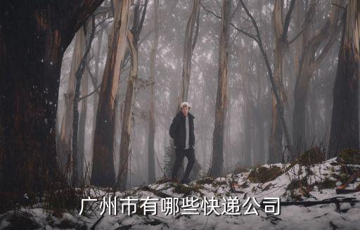 廣州的物流公司是哪些，廣州有幾個(gè)著名物流公司