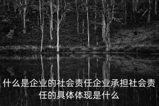 什么是企業的社會責任企業承擔社會責任的具體體現是什么