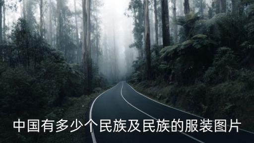 中國有多少個民族及民族的服裝圖片