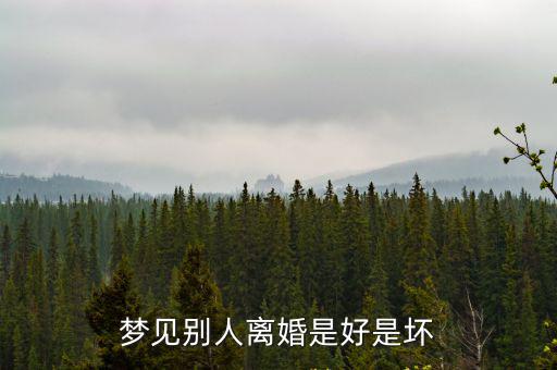 夢見別人離婚是好是壞