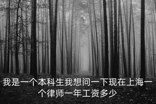 我是一個本科生我想問一下現(xiàn)在上海一個律師一年工資多少