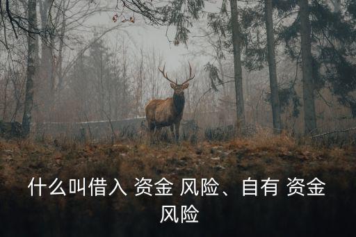 什么叫借入 資金 風(fēng)險(xiǎn)、自有 資金 風(fēng)險(xiǎn)