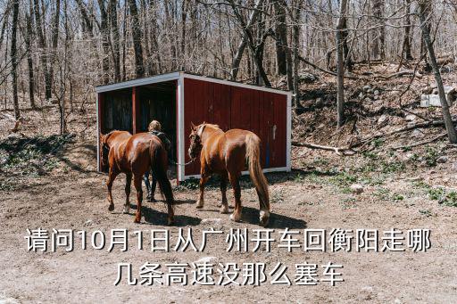 廣州回衡陽堵車嗎，京珠高速衡陽到廣州是否交通不塞車