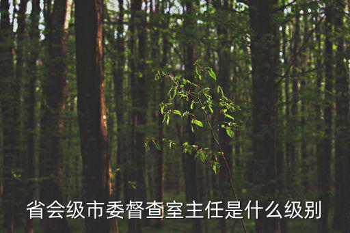 重慶市督察督辦意見，省會級市委督查室主任是什么級別