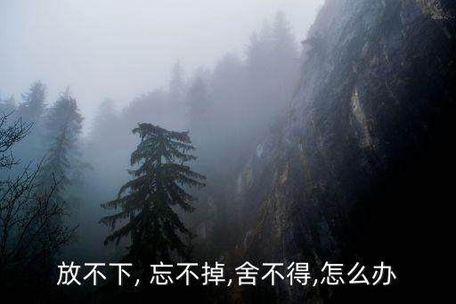 放不下, 忘不掉,舍不得,怎么辦