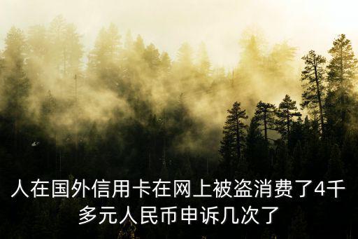 人在國(guó)外信用卡在網(wǎng)上被盜消費(fèi)了4千多元人民幣申訴幾次了