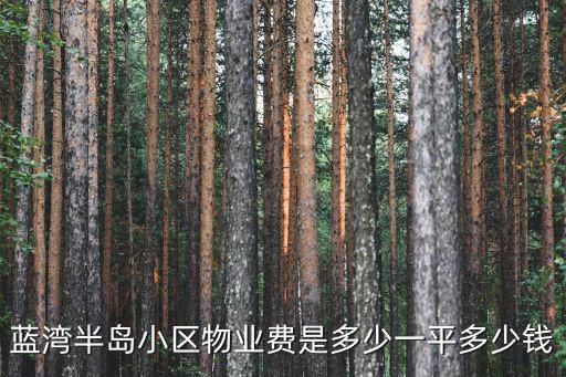 藍(lán)灣半島小區(qū)物業(yè)費(fèi)是多少一平多少錢