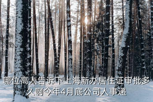 哪位高人告訴下上海新辦居住證審批多久啊今年4月底公司人事遞