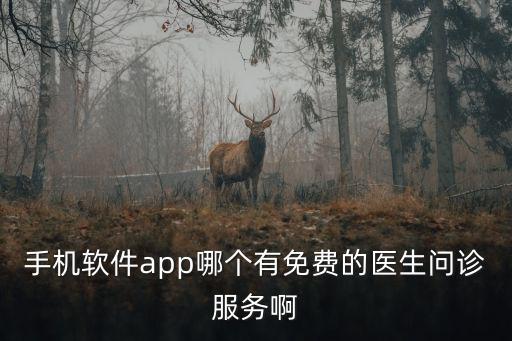手機軟件app哪個有免費的醫(yī)生問診服務(wù)啊