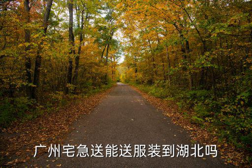 廣州宅急送能送服裝到湖北嗎