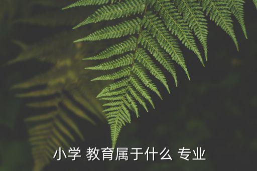  小學 教育屬于什么 專業(yè)
