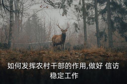 如何發揮農村干部的作用,做好 信訪 穩定工作