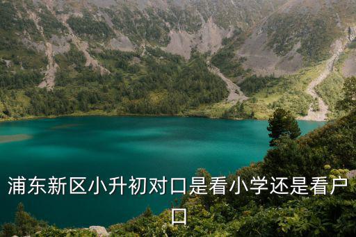 浦東新區(qū)小升初對口是看小學(xué)還是看戶口