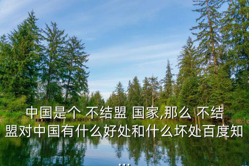 不結(jié)盟國家,中國曾是不結(jié)盟運(yùn)動(dòng)觀察員