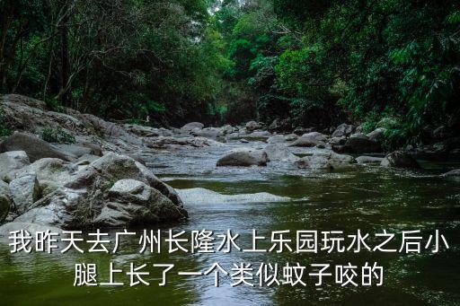 我昨天去廣州長隆水上樂園玩水之后小腿上長了一個類似蚊子咬的
