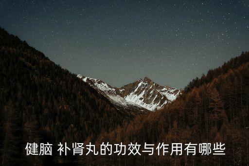  健腦 補腎丸的功效與作用有哪些