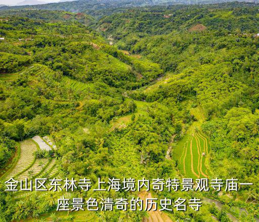 金山區東林寺上海境內奇特景觀寺廟一座景色清奇的歷史名寺